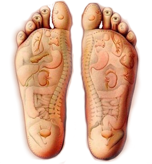 La riflessologia plantare: una mappa sotto il nostro piede  La riflessologia plantare: una mappa sotto il nostro piede